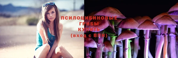 а пвп мука Вяземский