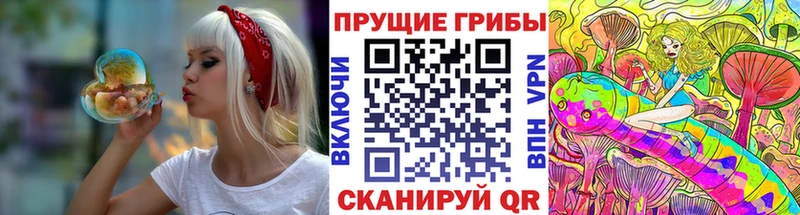 Галлюциногенные грибы мухоморы  хочу наркоту  маркетплейс состав  Норильск 